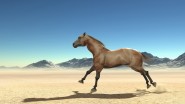 https://www.thor3d.de/wp/wp-content/uploads/2010/01/spot_2_01_808.jpg